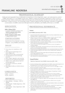Fencer Professional ATS Compliance CV & Cover Letter